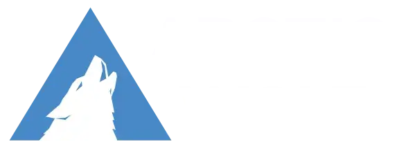 Arctic Wolf Networks